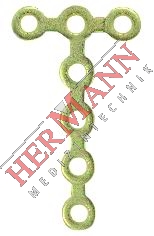 H22-06307