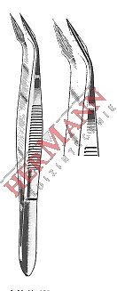 H110-81310