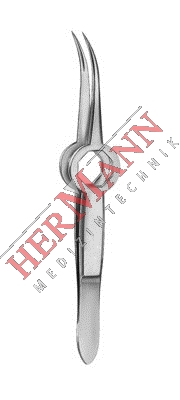 H110-81810