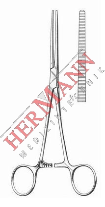 H112-31013