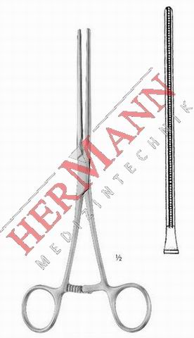 H113-20219