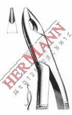 H181-11004