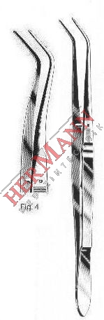 H183-10904