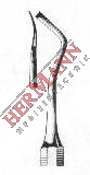 H183-31310