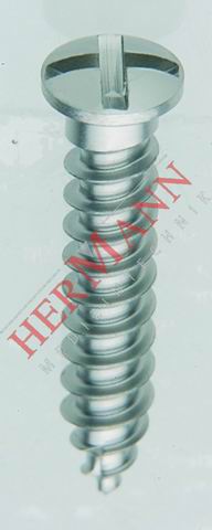 H14-20204B
